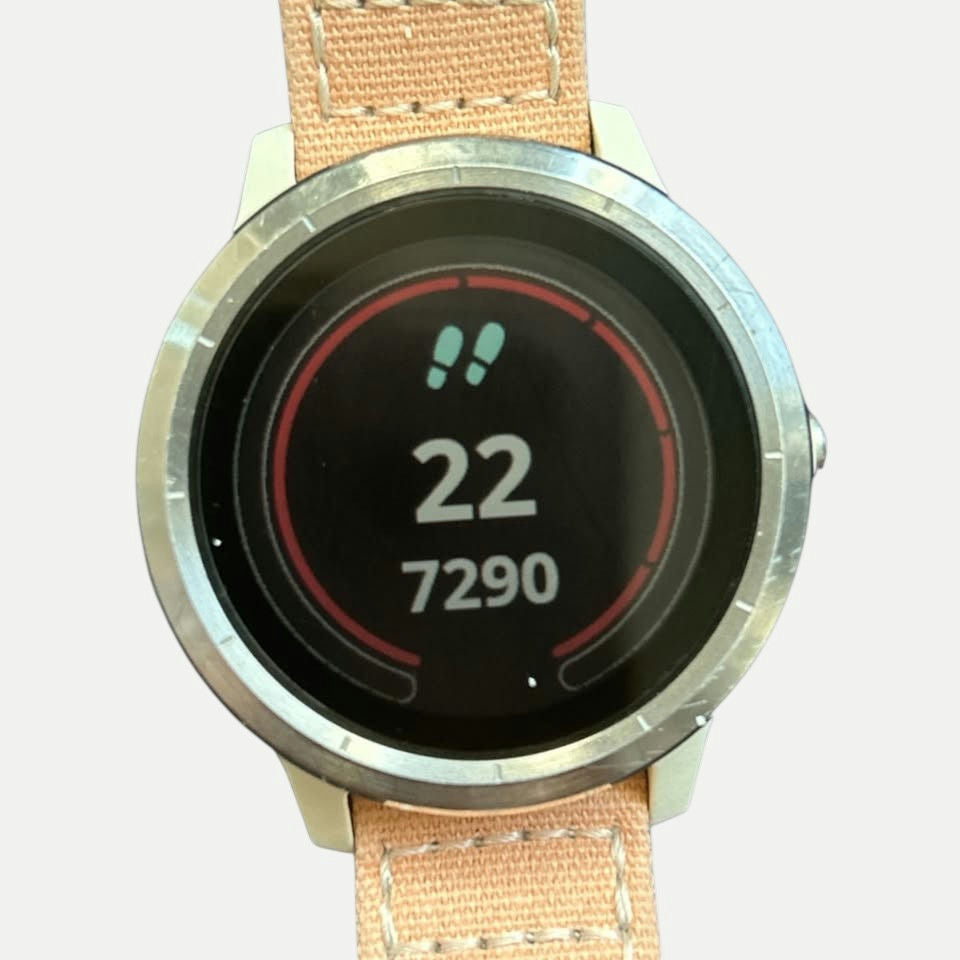 Garmin Vivoactive 3 GPS Smartwatch