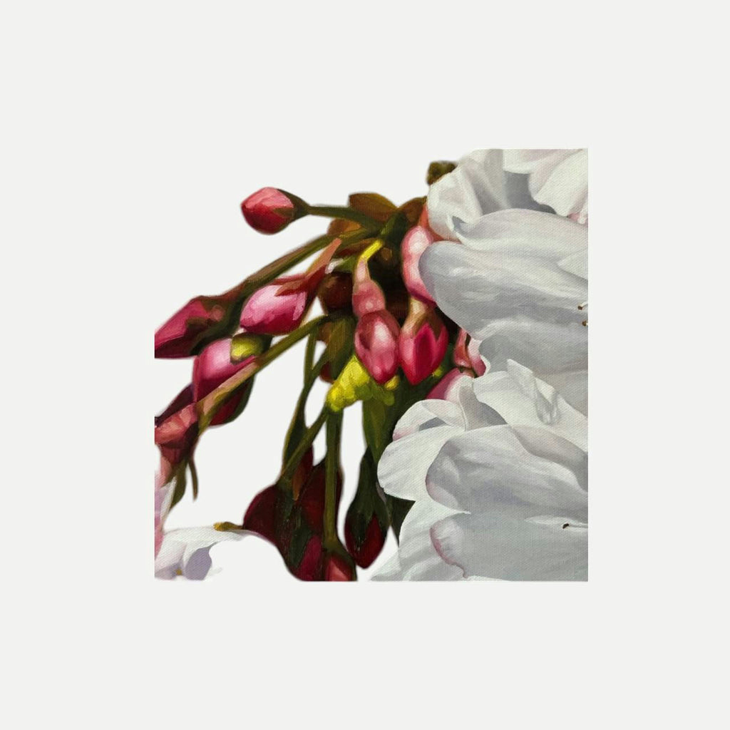 Brooke Cormier “April” Cherry Blossom Canvas Print 18x24
