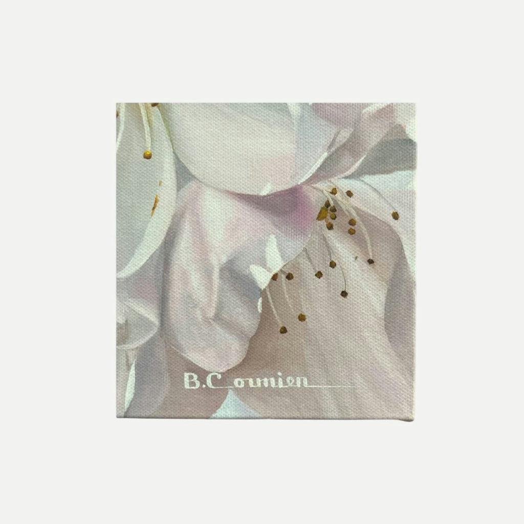 Brooke Cormier “April” Cherry Blossom Canvas Print 18x24